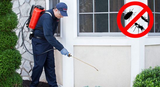 Kelkit Akrep İlaçlama böcek ilaçlama ve haşere kontrolü — ilaclama-tr.com